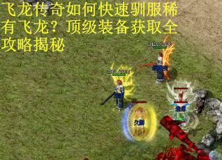 飞龙传奇如何快速驯服稀有飞龙？顶级装备获取全攻略揭秘