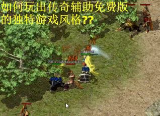 如何玩出传奇辅助免费版的独特游戏风格??