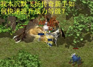 我本沉默飞扬传奇新手如何快速提升战力等级？