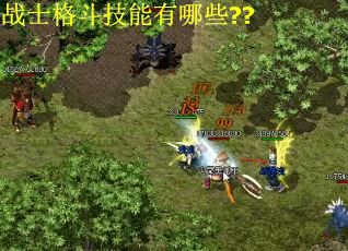 战士格斗技能有哪些??