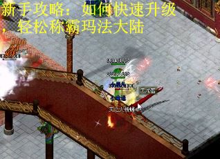 新手攻略：如何快速升级，轻松称霸玛法大陆