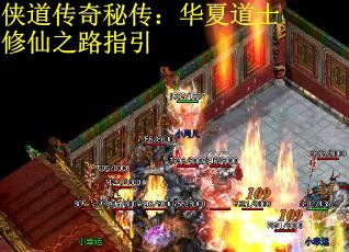 侠道传奇秘传：华夏道士修仙之路指引