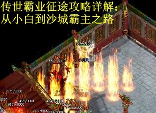 传世霸业征途攻略详解：从小白到沙城霸主之路