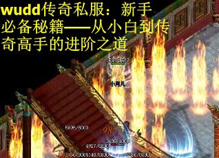 wudd传奇私服：新手必备秘籍——从小白到传奇高手的进阶之道