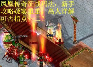 凤凰传奇征战玛法：新手攻略疑窦重重，高人详解可否指点一二？