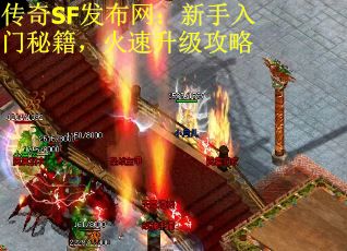 传奇SF发布网：新手入门秘籍，火速升级攻略