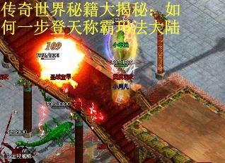 传奇世界秘籍大揭秘：如何一步登天称霸玛法大陆