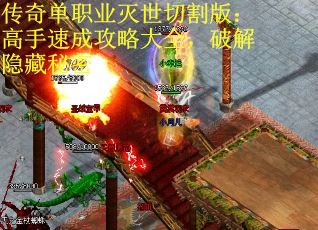 传奇单职业灭世切割版：高手速成攻略大全，破解隐藏秘密