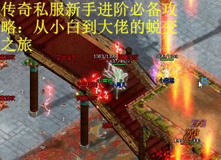 传奇私服新手进阶必备攻略：从小白到大佬的蜕变之旅