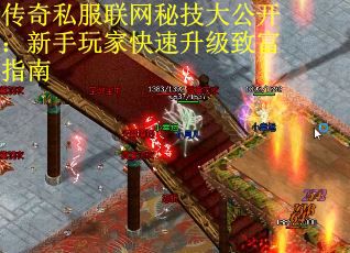 传奇私服联网秘技大公开：新手玩家快速升级致富指南