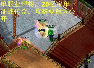 单职业悍将，20亿宝单征战传奇：攻略秘籍大公开