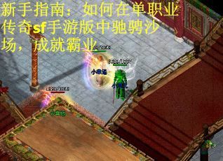 新手指南：如何在单职业传奇sf手游版中驰骋沙场，成就霸业