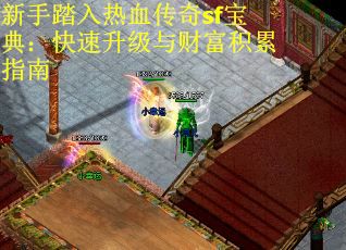 新手踏入热血传奇sf宝典：快速升级与财富积累指南