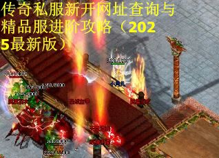 传奇私服新开网址查询与精品服进阶攻略（2025最新版）
