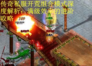 传奇私服开荒组合模式深度解析：满级效率的进阶攻略