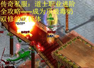 传奇私服：道士职业进阶全攻略——成为顶级毒奶双修的究极体