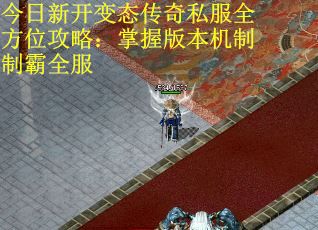 今日新开变态传奇私服全方位攻略：掌握版本机制制霸全服