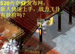 520传奇SF发布网：新人快速上手，战力飞升有妙招吗？