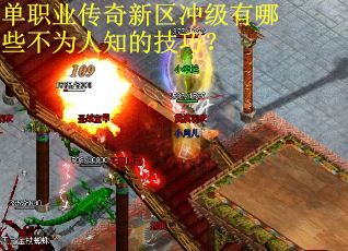 单职业传奇新区冲级有哪些不为人知的技巧？
