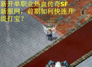新开单职业热血传奇SF新服网，前期如何快速升级打宝？