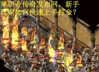 单职业传奇发布网，新手玩家如何快速上手打金？
