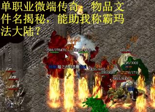 单职业微端传奇：物品文件名揭秘，能助我称霸玛法大陆？