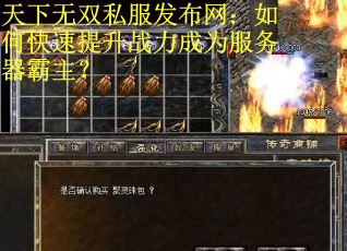 天下无双私服发布网：如何快速提升战力成为服务器霸主？