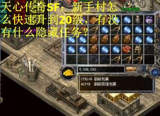 天心传奇SF：新手村怎么快速升到20级，有没有什么隐藏任务？