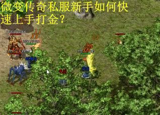 微变传奇私服新手如何快速上手打金？