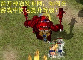 新开神途发布网，如何在游戏中快速提升等级？