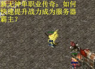 新无神单职业传奇：如何快速提升战力成为服务器霸主？