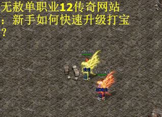 无赦单职业12传奇网站：新手如何快速升级打宝？