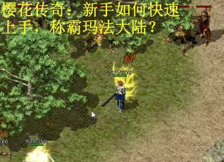 樱花传奇：新手如何快速上手，称霸玛法大陆？