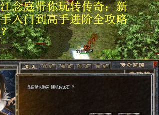 江念庭带你玩转传奇：新手入门到高手进阶全攻略？