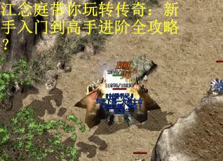 江念庭带你玩转传奇：新手入门到高手进阶全攻略？