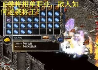 王侯将相单职业，散人如何逆袭称王？