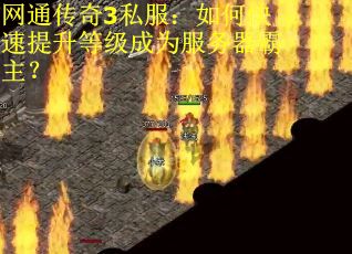 网通传奇3私服：如何快速提升等级成为服务器霸主？