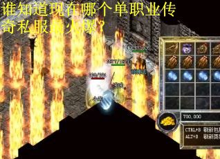 谁知道现在哪个单职业传奇私服最火爆？