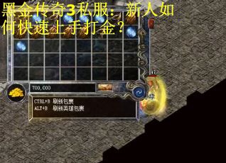 黑金传奇3私服：新人如何快速上手打金？