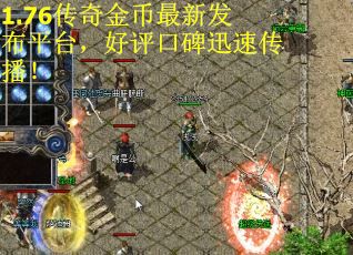 1.76传奇金币最新发布平台，好评口碑迅速传播！
