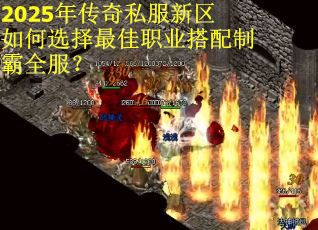 2025年传奇私服新区如何选择最佳职业搭配制霸全服？