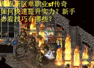 两点新区单职业sf传奇如何快速提升实力？新手必看技巧有哪些？