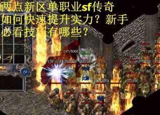 两点新区单职业sf传奇如何快速提升实力？新手必看技巧有哪些？