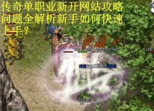 传奇单职业新开网站攻略问题全解析新手如何快速上手? 传奇单职业新开网站攻略问题全解析新手如何快速上手?