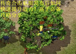 传奇合击私服发布后如何快速提升战力？高手必备攻略分享