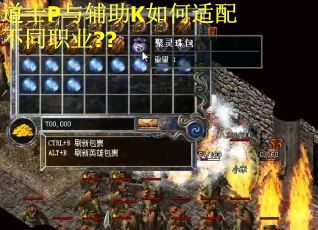 道士P与辅助K如何适配不同职业??