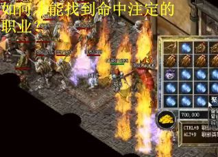 如何才能找到命中注定的职业？