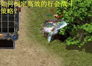 如何制定高效的行会战斗策略? 如何制定高效的行会战斗策略?