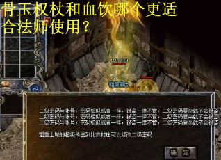 骨玉权杖和血饮哪个更适合法师使用？