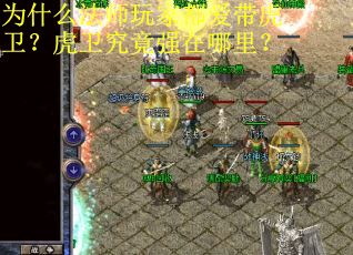 为什么法师玩家都爱带虎卫?虎卫究竟强在哪里? 为什么法师玩家都爱带虎卫?虎卫究竟强在哪里?